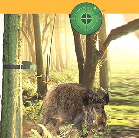Wildsensor für Jagd & Wild mit 2x Bewegungsmelder Buck Alert - CalibarHunting