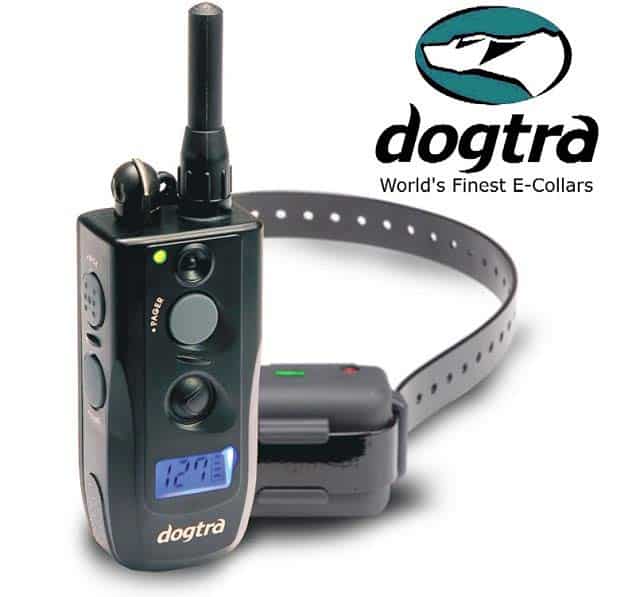 Dogtra 620NCP Halsband Ferntrainer