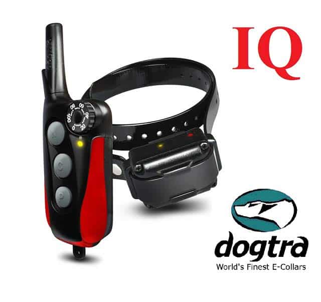 Dogtra IQ Plus Halsband Ferntrainer
