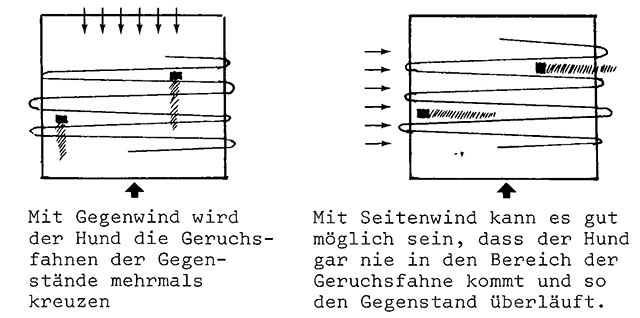 Korrekturen, Revieren an Prüfungen und Taktisches Vorgehen7