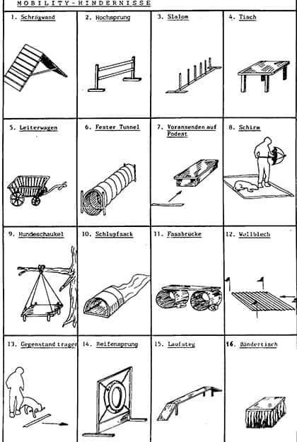 Agility, Mobility und Obedience und neuere Jagdhundesportarten 18
