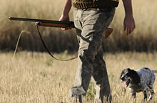 Schweißarbeit Nachsuche Sichtweite Bestimmungen Schuss - Jagd mit Hunden
